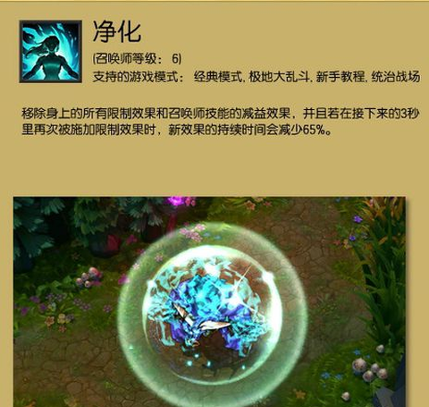 英雄联盟净化能解什么
