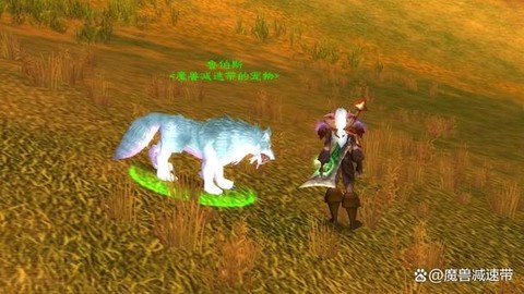魔兽世界猎人抓什么宝宝[图2]