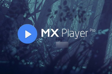 mxplayer安卓版[图2]