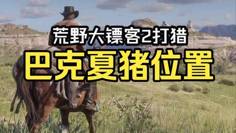 荒野大镖客打猎什么
