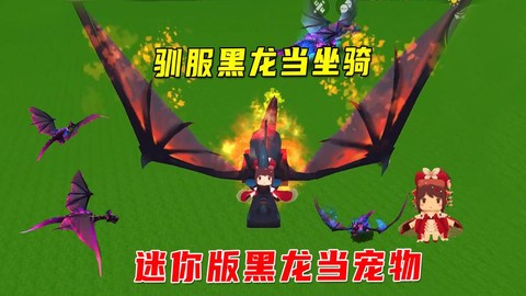 迷你世界怎么驯服黑龙当坐骑[图1]