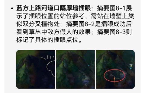 英雄联盟插眼是什么