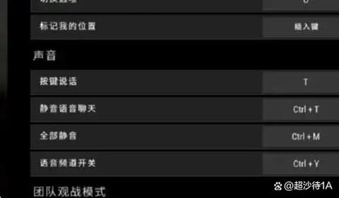 绝地求生怎么一直语音[图2]