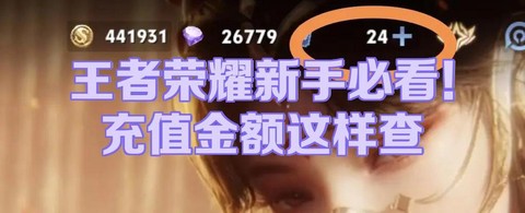 王者荣耀怎么查充值记录[图1]
