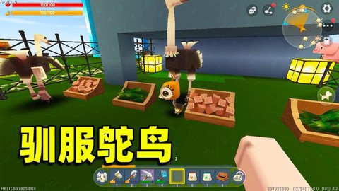 迷你世界怎么驯养鸵鸟