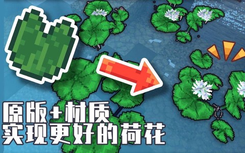 我的世界荷叶怎么种[图2]