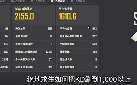 绝地求生怎么查kd[图2]