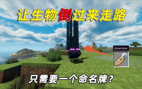 我的世界怎么倒着走[图2]