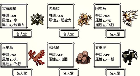 口袋妖怪周目什么意思