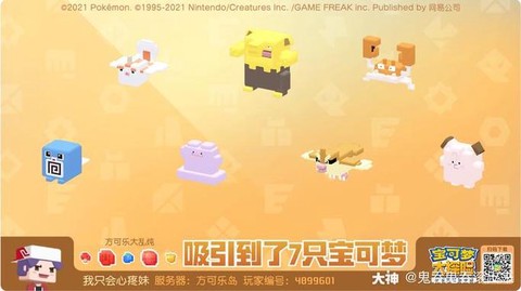 宝可梦探险什么宝可梦强