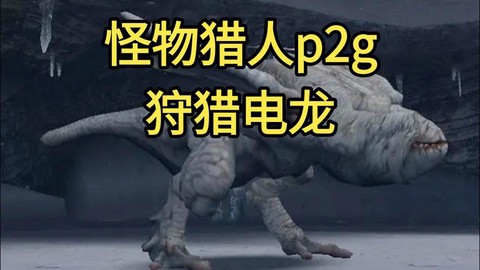 怪物猎人电龙怎么打