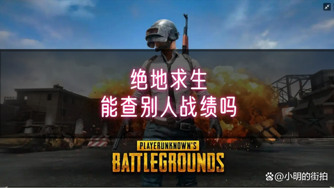 绝地求生怎么查战绩[图2]