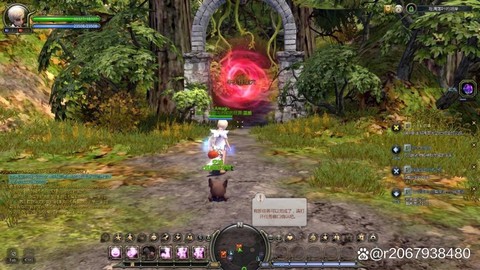 龙之谷魔导师转什么