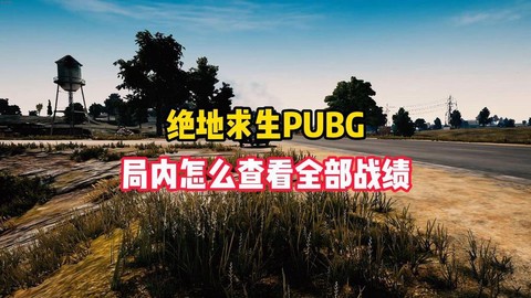 绝地求生怎么看排行