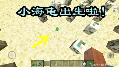 我的世界怎么孵化海龟蛋[图2]