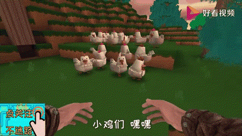 迷你世界里怎么喂小鸡