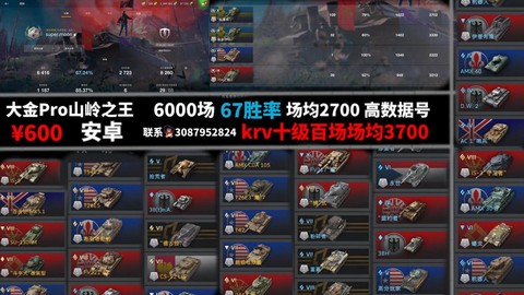 坦克世界战力怎么算的[图1]