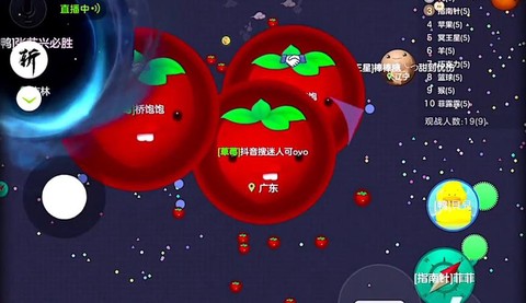 玩球球大作战怎么直播