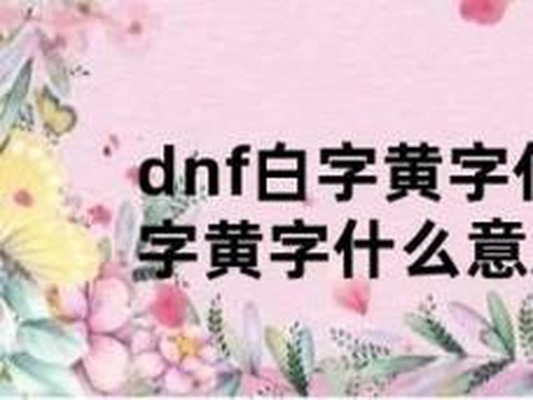 dnf白字黄字什么意思[图2]