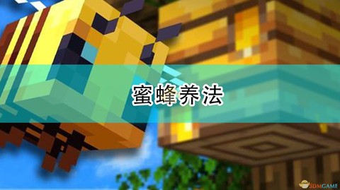 我的世界蜜蜂怎么养[图2]