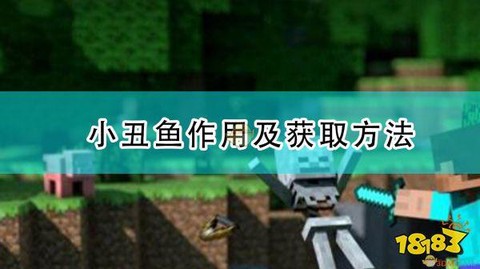 我的世界小丑鱼怎么用[图2]