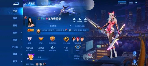 王者荣耀怎么查看贵族