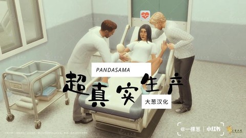 模拟人生4分娩怎么办