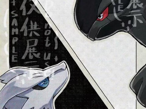 口袋妖怪黑白什么区别