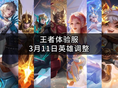 怎么用王者荣耀体验服
