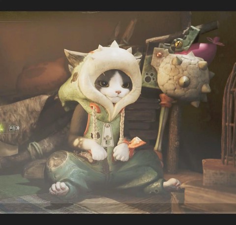 怪物猎人2g怎么给猫