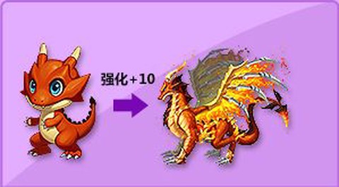 qq飞车飞火龙开什么
