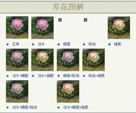 金庸群侠传药材怎么用[图2]