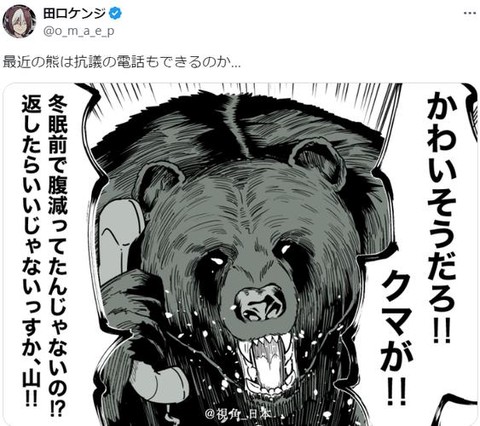 狼人杀熊是什么样的