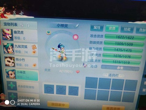 神武普陀打什么宝石