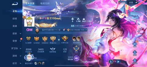 王者荣耀贵族怎么看[图1]