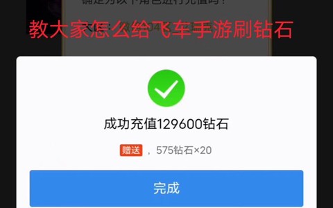 如何刷qq飞车紫钻[图2]