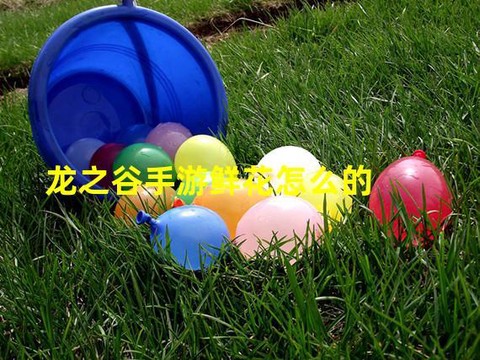 龙之谷手游鲜花怎么卖
