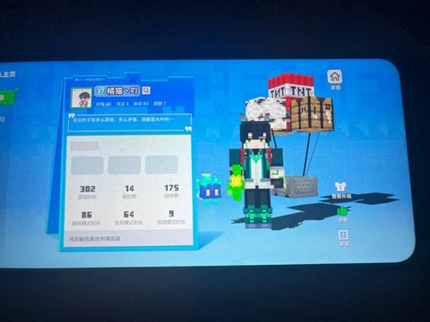 玩我的世界卡怎么办