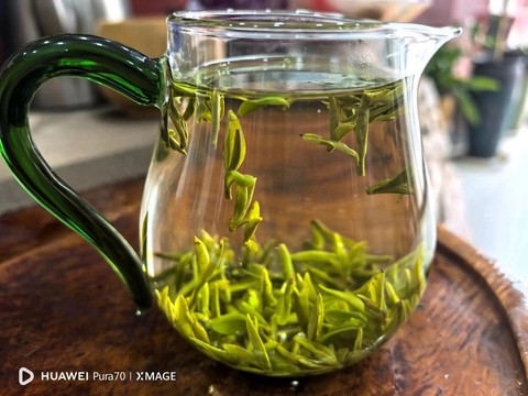 qq飞车西湖龙井茶能开到什么[图1]