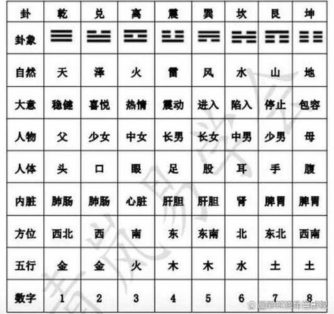什么太极八卦九阴真经