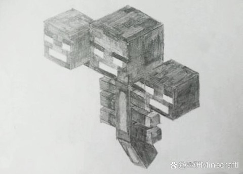 我的世界凋零怎么画[图2]