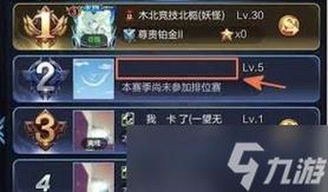 王者荣耀怎么弄空白名