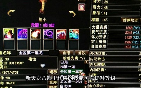 天龙八部怎么幻化珍兽