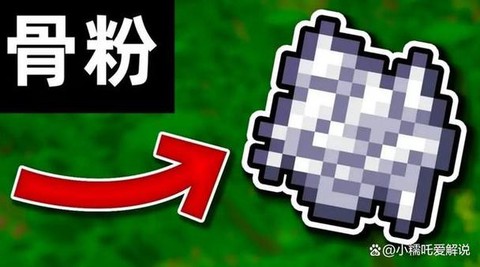 我的世界骨粉有什么用[图2]