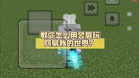 我的世界手机版怎么去末地