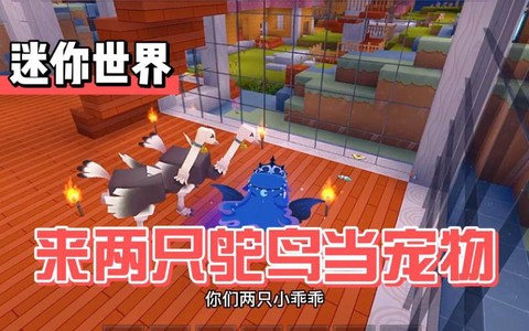 迷你世界怎么繁殖驼鸟