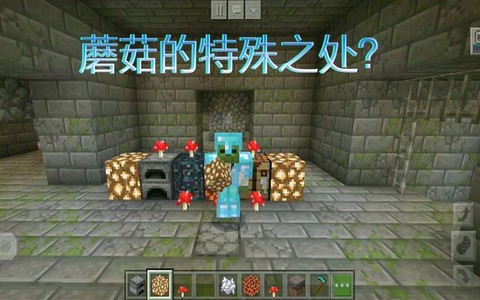 我的世界大蘑菇怎么种