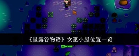 星露谷物语怎么女巫