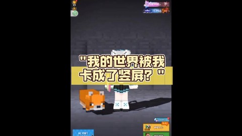 手机玩我的世界卡怎么办
