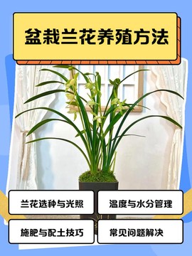 迷你世界怎么繁殖兰花[图1]